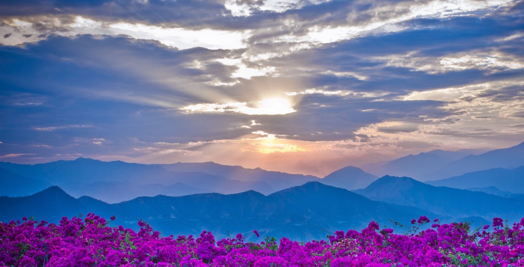 康和-山.jpg